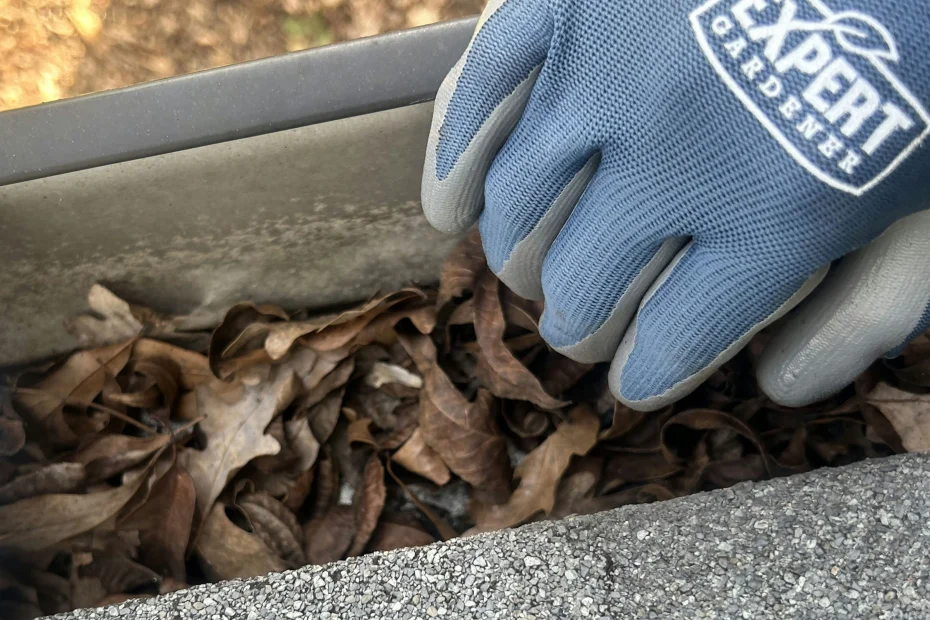 Gutter Cleaning Tuckahoe